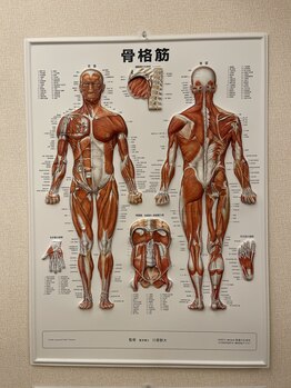 坂口カイロプラクティック整体院/院内写真