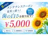 【8月限定☆】カムバッククーポン!!ホワイトニング40分照射☆