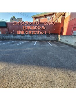 ローズヒップ(Rose Hip)/