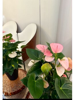 エイチツーコネクト ガレリア 乃木坂(H2-ConnecT GALLERIA)/水素吸入【首こり/肩こり/腰痛】