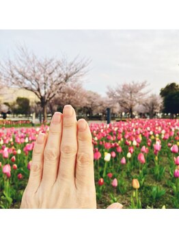 桃の木 吉祥寺店/こんにちは、うきうきする春