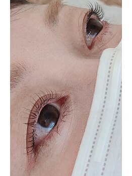 コア(Koa)/ラッシュリフト