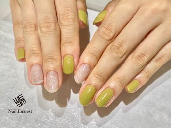 ネイル エミュスト(Nail Emuest)/ワンカラー／マグネット