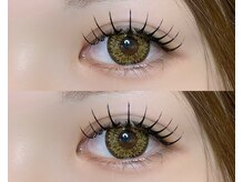 シフォン(Chiffon)/フラットラッシュ付け放題