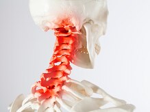 ウェルミナ鍼灸接骨院/お身体の状態説明