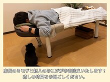 晴々の雰囲気(ミモザ店長と新人のおこげが癒しをさらに提供いたします!)