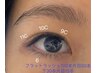 フラットラッシュ上100本+下30本セット