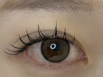 ビビオンリーワン 銀座築地(vivi only one)/フラットラッシュエクステ120本