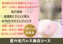 ビービー(BB)