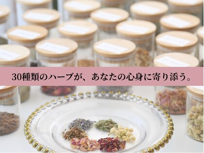ミノリ(MINORI)の写真