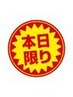★本日限定★ ワンカラー/ラメグラデーション　¥2,960 [他店オフ無料/ジェル]