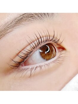 ヴィフ(Vif)/パリジェンヌラッシュリフト