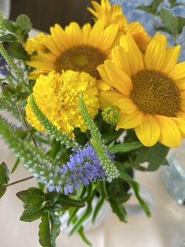 マシュマロハンド/肩こり/冷え/むくみ改善