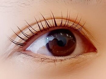 エフ(F...)/次世代まつげパーマ