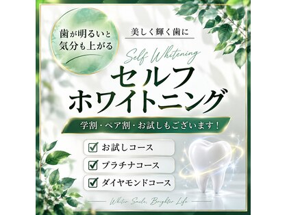ケーナイン(K-9)の写真
