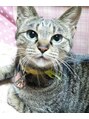 エステティック サロン シュエット(Esthetique Salon Chouette) 動物(特に猫)が大好きです!
