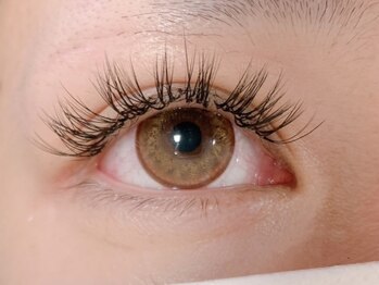 ルコル(Lecoeur)/バインドロック60本