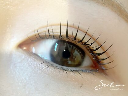 ステラ(Stella)の写真