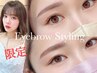  【限定】眉毛・アイブロウスタイリング(WAX脱毛)毛量調節有◎¥3900