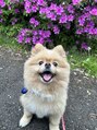 アリィ(Ali'i) 実家でワンちゃん飼ってます!爬虫類など動物全般好きです♪