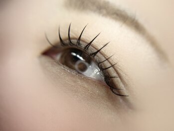 ファーストネイルアンドアイラッシュ(1st NAIL&eyelash)/LEDエクステ120本