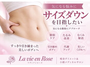 ラヴィアンローズ 岐阜本店(La vie en Rose)の写真/本気でボディラインを整えたい方へ。スタッフと一緒に結果にこだわるボディケアサロン。