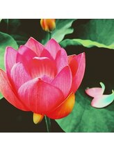 花蓮香 麻布十番店 2番 (男性)