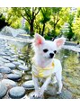 ミランオオサカ(MIRAN OSAKA)&nbsp;愛犬癒し。オフは散歩やカフェに行ったりのんびりです♪