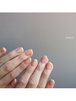 セドラ(Cedrat)/(spring)   milky colors