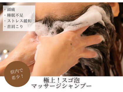 フーラ(B.hoola)の写真