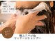 フーラ(B.hoola)の写真