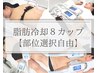 痩身|【脂肪冷却・自由選択】ご希望の箇所８カップ☆(※クーポン詳細必読)