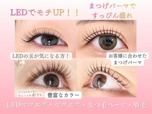 ベルエール(Belle Aile)