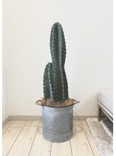 ココプラス(coco plus)&nbsp;オーナー 