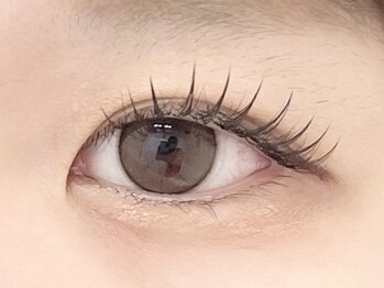 チェミール(CHEMIR)/フラットラッシュカラー　100本