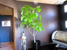 マイストレッチ 関内店(My Stretch)/【酸素カプセルも利用可】