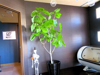 マイストレッチ 関内店(My Stretch)/【酸素カプセルも利用可】