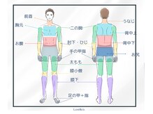 リュクスアンドコー 上田店(Luxe&co.)/脱毛のお身体部位詳細