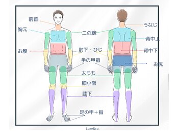 リュクスアンドコー 上田店(Luxe&co.)/脱毛のお身体部位詳細