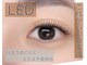 ベル ミュゲ(Belle Muguet)の写真/持続力の高いエクステメニューを豊富にご用意【LEDエクステ＼ダブルフラットラッシュ】