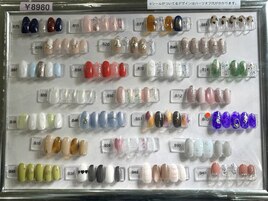 定額Bコース¥8980