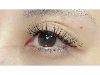 フーム(whom)/フラットラッシュ120本