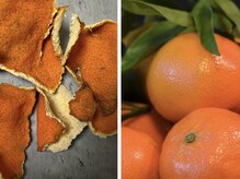 眠れるよもぎ蒸し 仙川店/陳皮（チンピ）