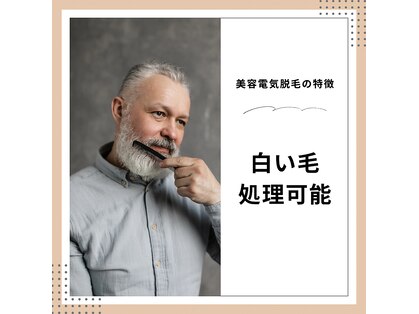 エスト(Est_.)の写真