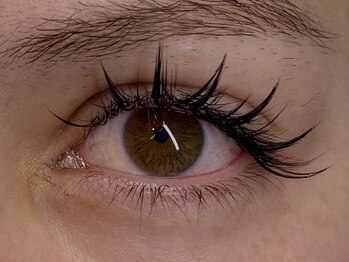 モーヴ(Maeve)/デザインエクステ