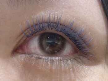 ウルカ アイラッシュ(uruka EYELASH)/フラットラッシュ 200本