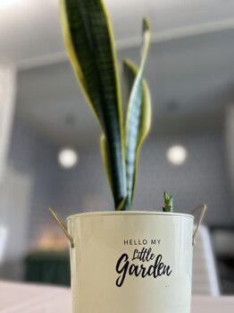 マシュマロハンド/肩こり/冷え/むくみ改善