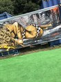 ログ 表参道(LOG) ライブ行ったり