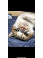 つばめの巣 山科 娘と愛猫に癒しを貰ってパワーチャージしてます!