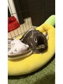 ネイル ウサミミ(Nail UsaMimi)&nbsp;うさぎを２羽飼っています♪